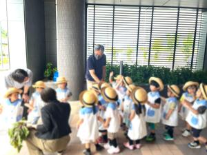 ちぐさ幼稚園より