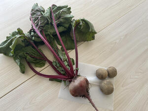 IMG_8728.jpg